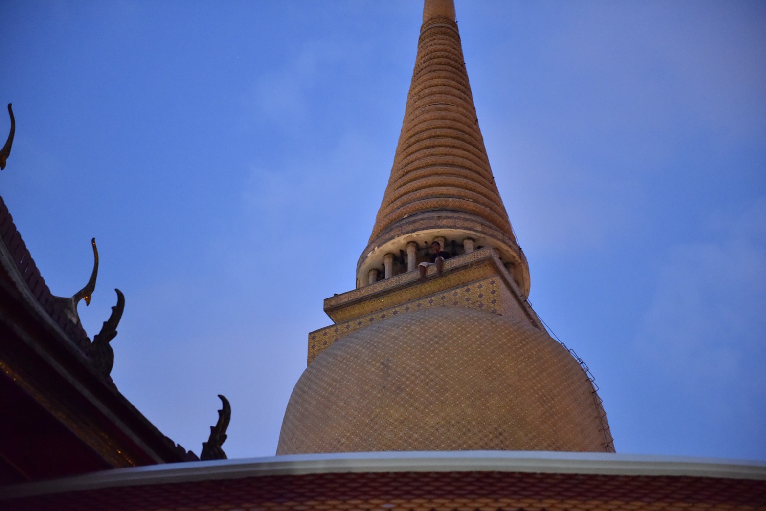 S__10535012.jpg