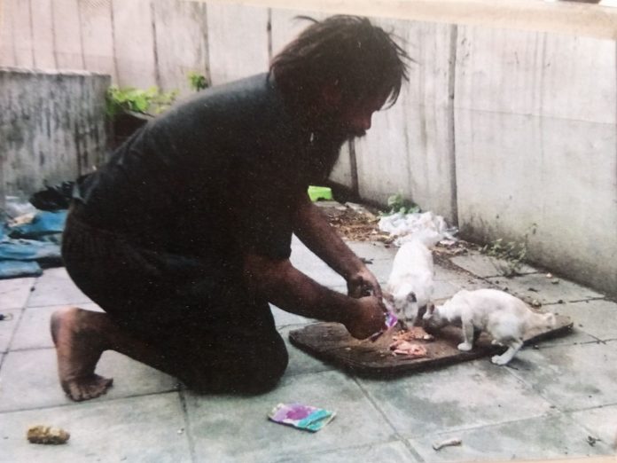 Somsak Yaluemdee feeds stray kittens in a photo posted April 5. Photo: Cat Lover Uncle Black / Facebook