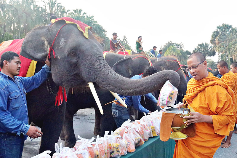 Everything Elephant as Thailand Celebrates National Animal - Thai Travel  News