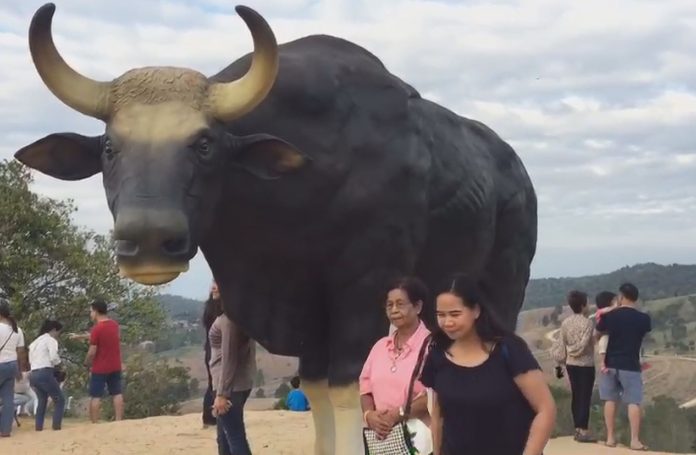 A photo of the bull statue.