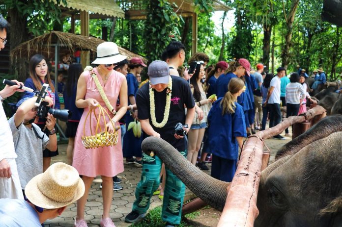 Chinese tourists feed elephants in Lampang province.