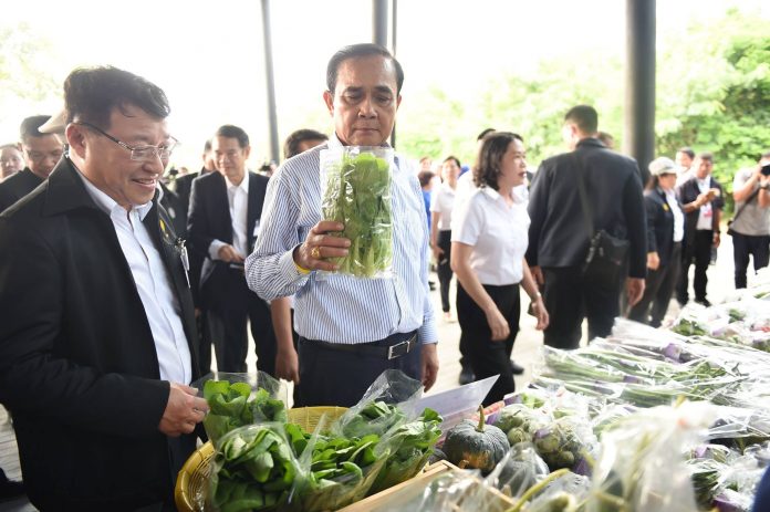 Junta chairman Prayuth Chan-ocha picks vegetables at a market in Rayong province on Feb. 27.
