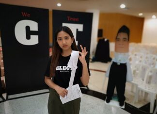 Mock Parliament Art Exhibit Questions ‘Return to Democracy’