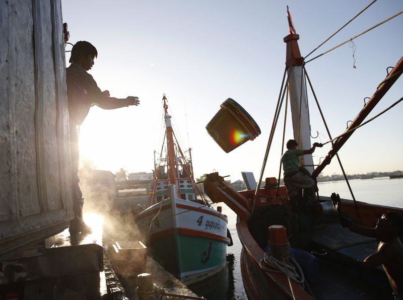 Migrant fishermen from Myanmar unload frozen fish from a Thai fishing boat at a port in Samut Sakhon, Thailand, 01 July 2015. EPA/RUNGROJ YONGRIT<br />