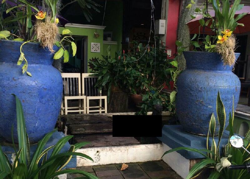 A French national was discovered floating in a pool of fish this morning three floors below the room he was staying at an apartment building in Chiang Mai.