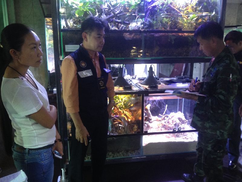 Nittaya Wongsin, at left, inside the office she owns where security forces discovered an abundance of wildlife but not the two leopards people had earlier spotted inside.