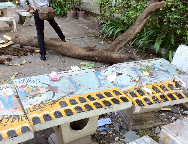 A falling tree struck benches and injured seven students at Chulalongkorn University on Wednesday afternoon in Bangkok.