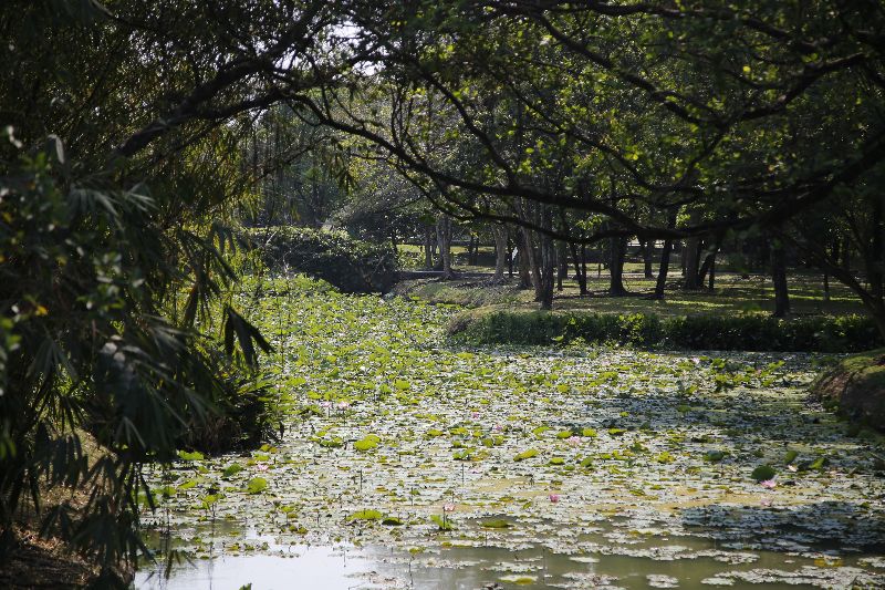 Bangkok’s Rama IX Park in a recent photo