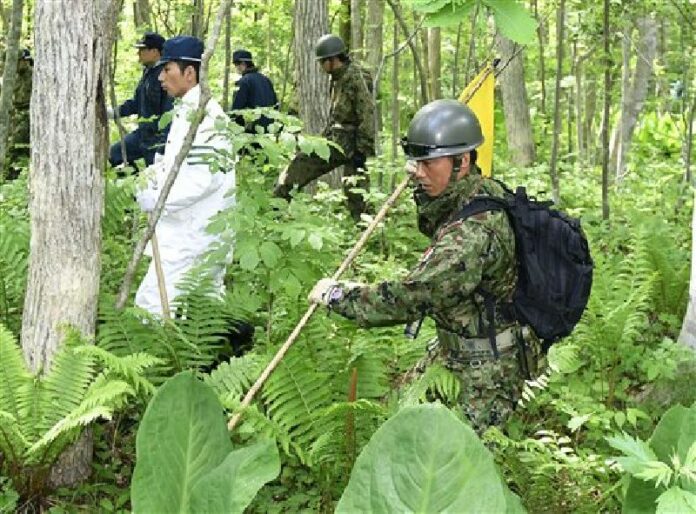 Police officers, rear, and members of the Ground Self-Defense Force conduct a search operation for Yamato Tanooka, a seven-year-old boy who has been missing since May 28, in a forest at Nanae town, in Japan's northernmost main island of Hokkaido Thursday, June 2, 2016. Photo: Daisuke Suzuki / Kyodo News / Associated Press