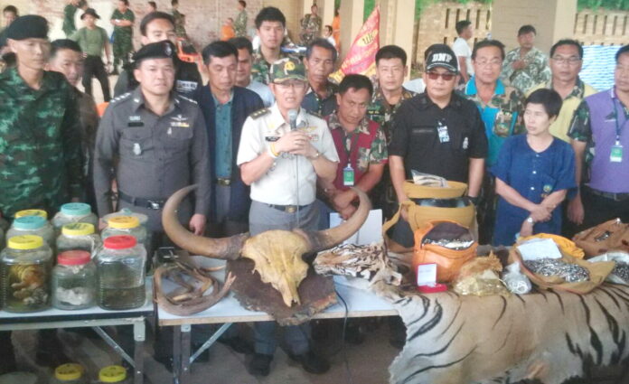 Adisorn Noochdamrong (holding a microphone) on Thursday at the Tiger Temple.