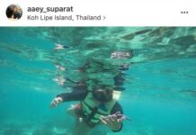 Tourists Fined for Instagramming Starfish