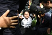 On Anniversary of Democracy, Cops Intercept and Arrest Observers (Photos)
