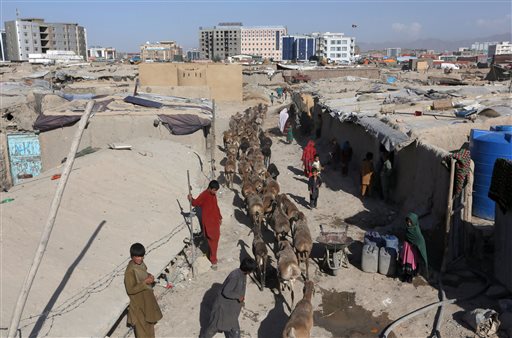 In this Monday, May 30, 2016 file photo, an Afghan boy shepherd walks his sheep near a temporary housing in Kabul, Afghanistan. Photo: Rahmat Gul / Associated Press