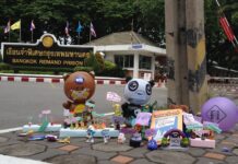 A ‘Toy Protest’ Has Broken Out. We Spoke to the Woman Who Came Up With It.