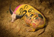 Klimt Goes Kwai and Other Buffaloes Touched by Greatness