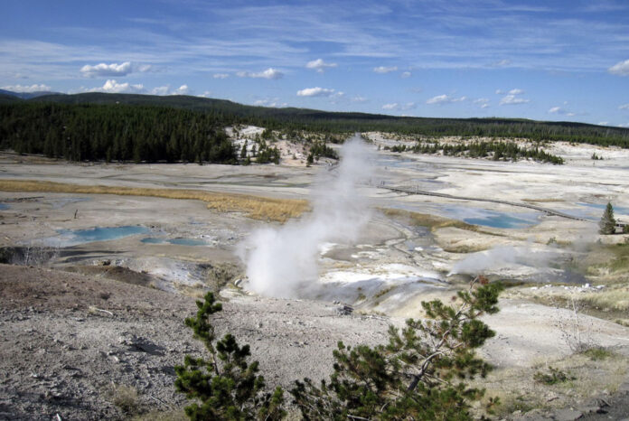 The Norris Geyser Basin in Yellowstone National Park in the United States. Photo: Beth Harpaz / Associated Press