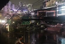 Thonglor 10 Goes Dark As Storm Topples Huge Tree