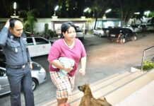 Overruling Police, Military Indicts Activist’s Mother for Insulting Monarchy