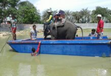 ‘Crocodile Raft’ Throws Down Gauntlet With Epic Dare to Online Critics