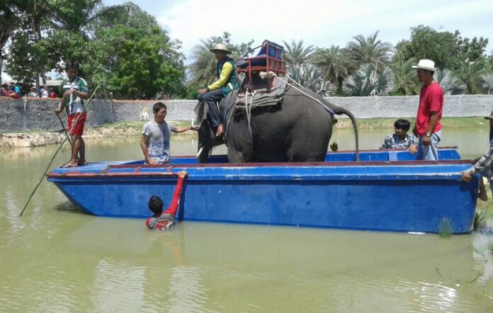 An elephant is used to load-test and demonstrate the nigh unsinkability of a raft Thursday used to float tourists in a pond of hungry crocodiles at Elephant Kingdom southeast of Bangkok in Chonburi province.