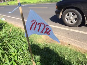 Small flags promoting 'Ga No' coffee found Sunday along a Si Saket province road.