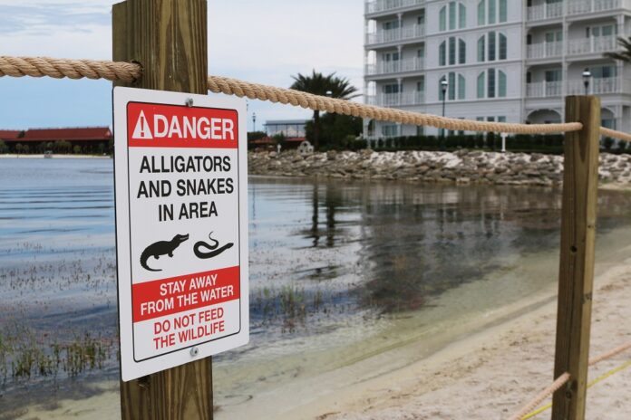 A new sign is seen posted on a beach outside a hotel at a Walt Disney World resort in Lake Buena Vista, after a 2-year-old Nebraska boy killed by an alligator at Disney World on June 14th.