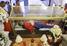 Cambodian Charged With Murder in Government Critic’s Killing