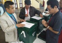 No More Than 22 Election Observers Expected Nationwide for Referendum
