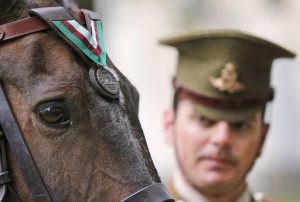 Horse Haldalgo, representing life-saving US Marine horse Sergeant Reckless who served with the US Marine Corps during the Korean War, is awarded with the PDSA Dickin Medal watched by Sergeant Mark Gostling in London, Wednesday, July 27, 2016. Photo: Frank Augstein