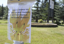 Property Owners: Get off My lawn, Pokemon!