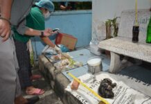 Suspected Serial Cat-Killer is Thong Lor Moto Taxi Driver