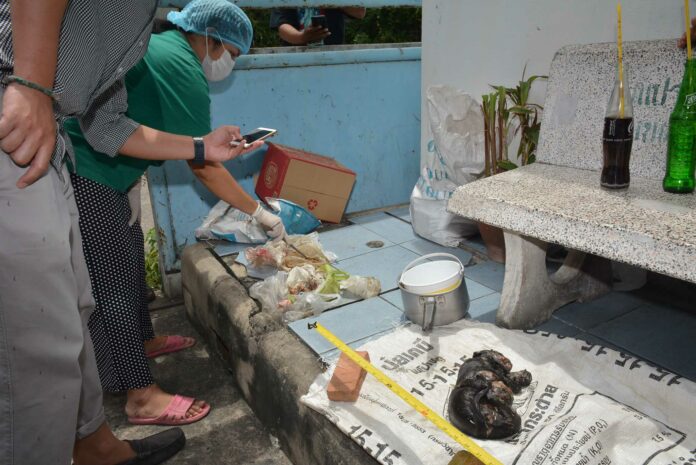 Dead cats discovered Saturday in the east Bangkok apartment of Panuwat Singhsahat.