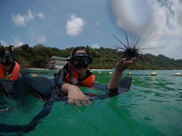 An unidentified tourist poses with asea urchin Tuesday in the sea off Koh Chang in an image circulated on social media. 