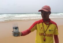 4 Phuket Beaches Closed Due to Killer Jellyfish