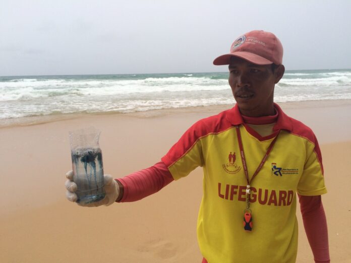 20160A lifeguard holds a cup Thursday containing a Portuguese man o' war, aka blue bottle jellyfish, Thursday on Phuket.9221822221-20160211172134