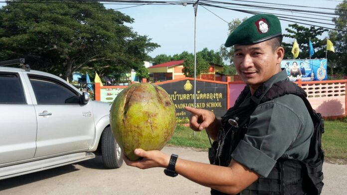 An officer points at the false-alarm coconut Tuesday in Pattani province.