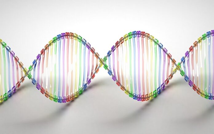 Recreated DNA model. Photo: Caroline Davis2010 / Flickr