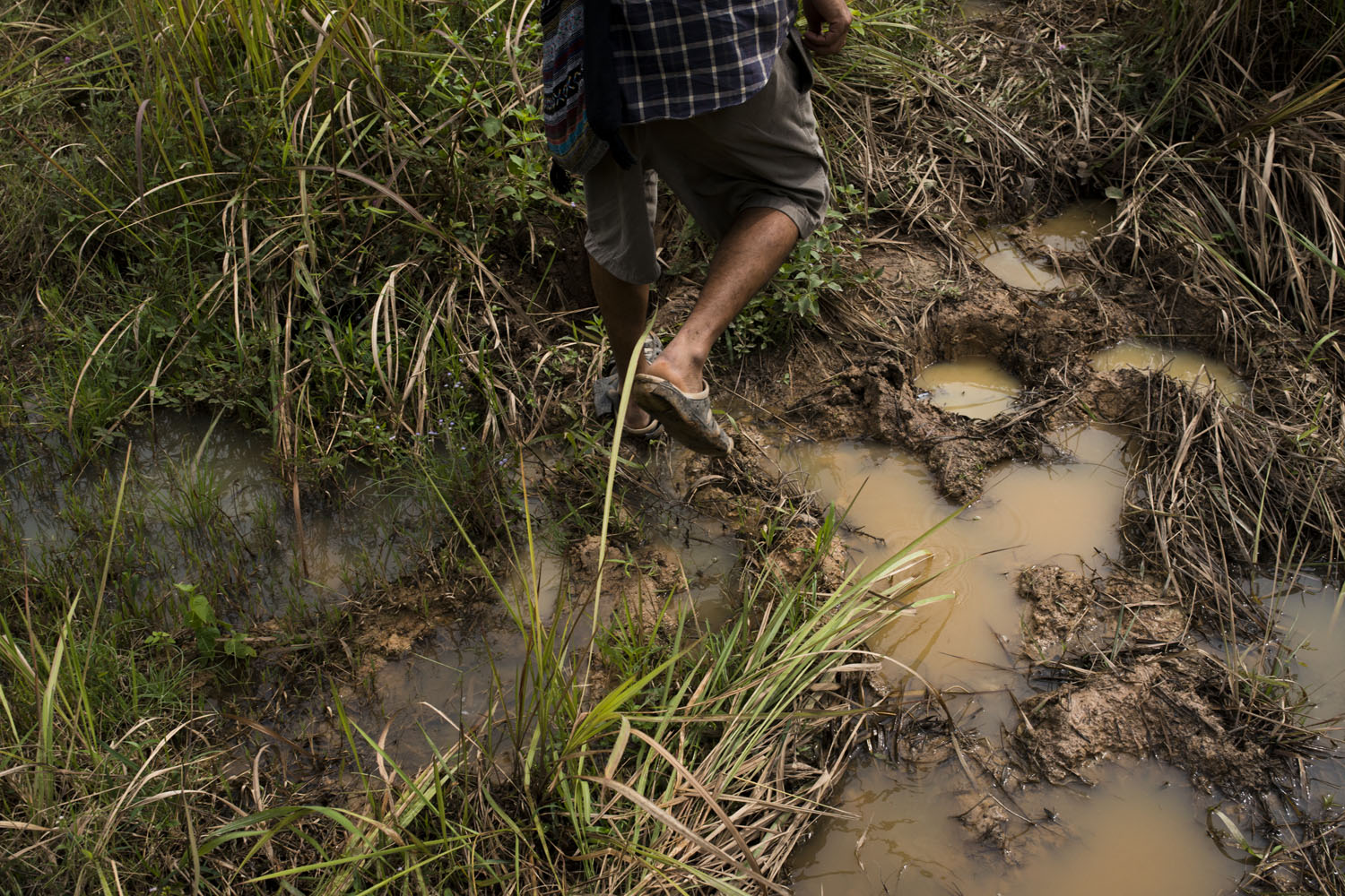 A man steps over puddles in earth pitted by elephant feet near a community in the Kaeng Hang Meao district of Chanthaburi province in eastern Thailand. 