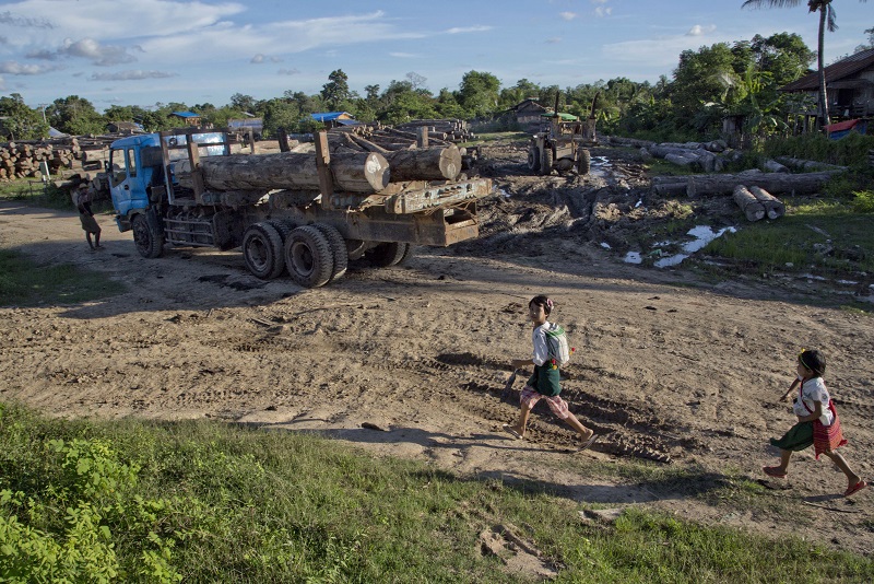 According to the U.N. Food and Agriculture Organization, from 2010 to 2015, Myanmar had the third-largest forest loss in the world, equivalent to an annual loss of 546,000 hectares. (2,100 square miles). Photo: Gemunu Amarasinghe / Associated Press