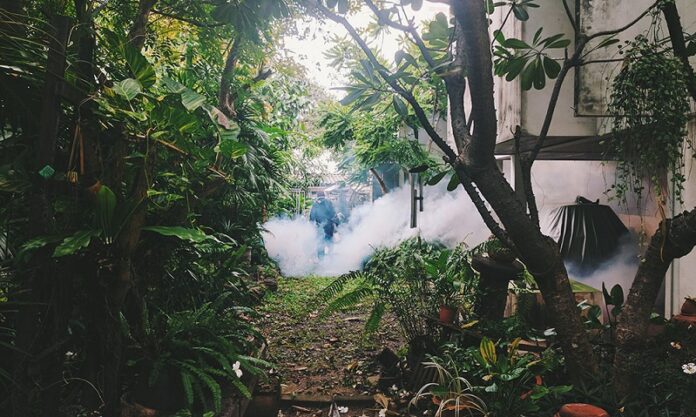 Workers fumigate a residence in Soi Ratchada 14 on Sept. 2. Photo: Pongvech Vechprasit