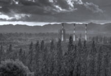 Will Thailand Choke on the Tailpipe of Bangkok’s Eco-Hubris?