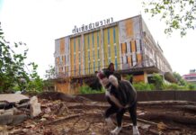 Revisit Thailand’s Golden Age of Cinema Houses (Photos)