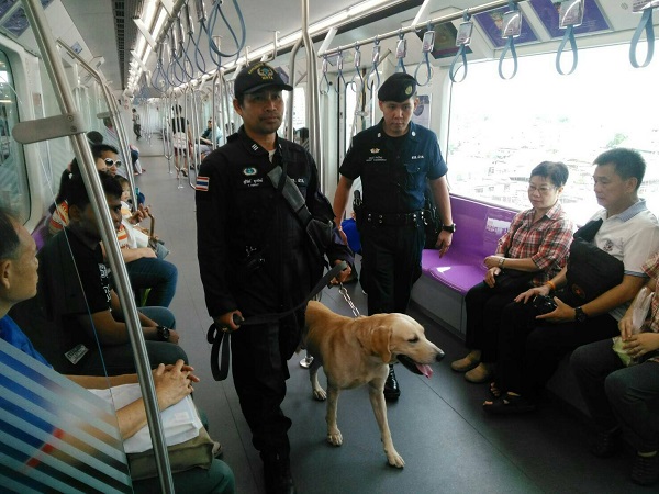 Officers along with police dog inspect inside MRT Purple Line train Tuesday.