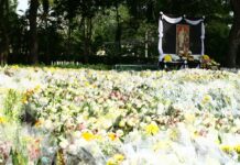The Resting Place of Flowers for King Bhumibol (Photos)