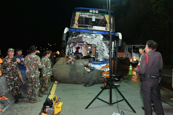 Phlai Udom was hit by bus No. 999 as he was crossing the Lampang-Chiang Mai Road.