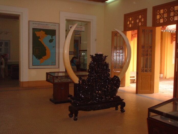 Ivory structure displayed in 2003 at a museum in Vietnam. Photo: Josh Smith / Flickr