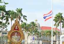 Decorate, Don’t Remove Portraits of Late King: Govt