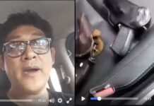 Police Look For Motorist Vowing to Shoot Those Who Defame King