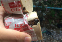 Roach-Stuffed Sausage Surprises Student