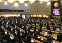 NLA Amends Interim Charter to Change Constitution